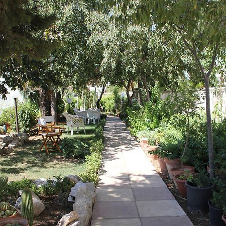 B&B Solacium Matera Bagian luar foto
