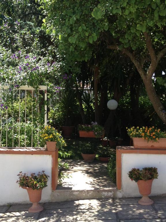 B&B Solacium Matera Bagian luar foto